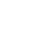 Basic Inspections Plan